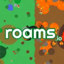 Roams.io